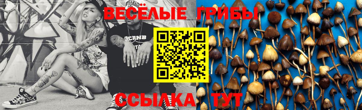Галлюциногенные грибы Cubensis  Вход с VPN  Псилоцибиновые грибы Cubensis  сколько стоит  Гулькевичи 